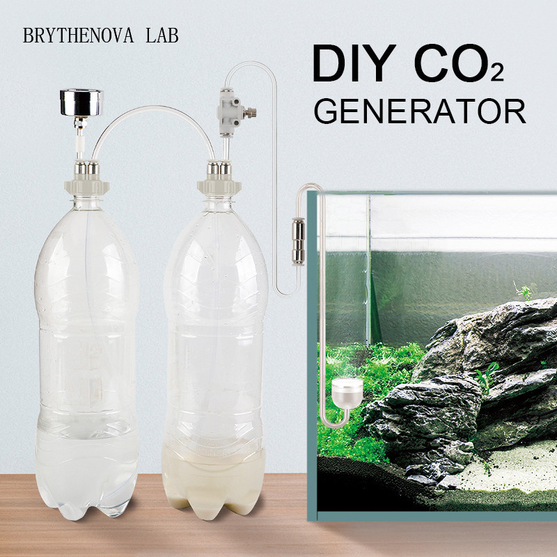 Aquarium Moss - Generador de CO2 para Acuarios Plantados,