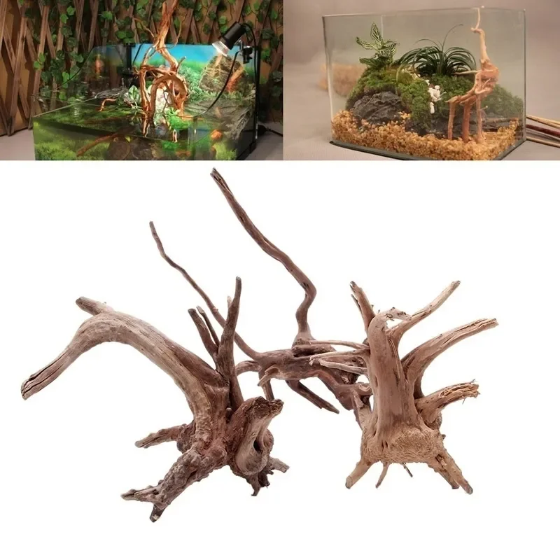 Aquarium Moss - Tronco de árbol Natural de madera