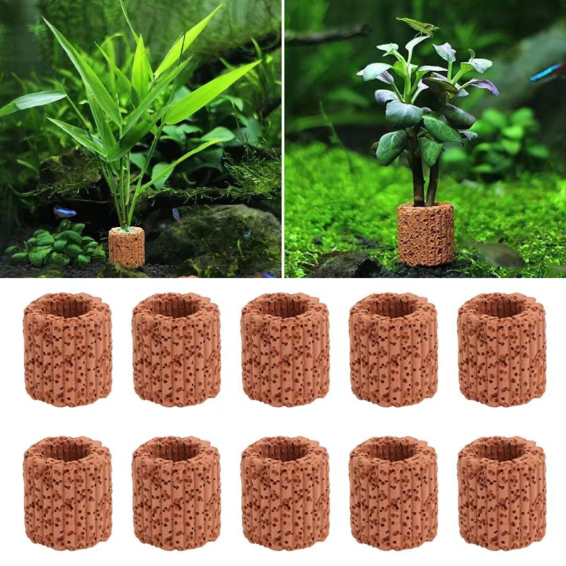 Aquarium Plants Live - Anillo fijo para plantas acuáticas, para