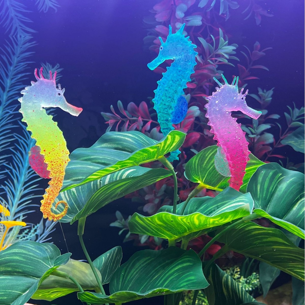 Aquarium Plant Substrate - Decoración Luminosa Simulada de Caballito de