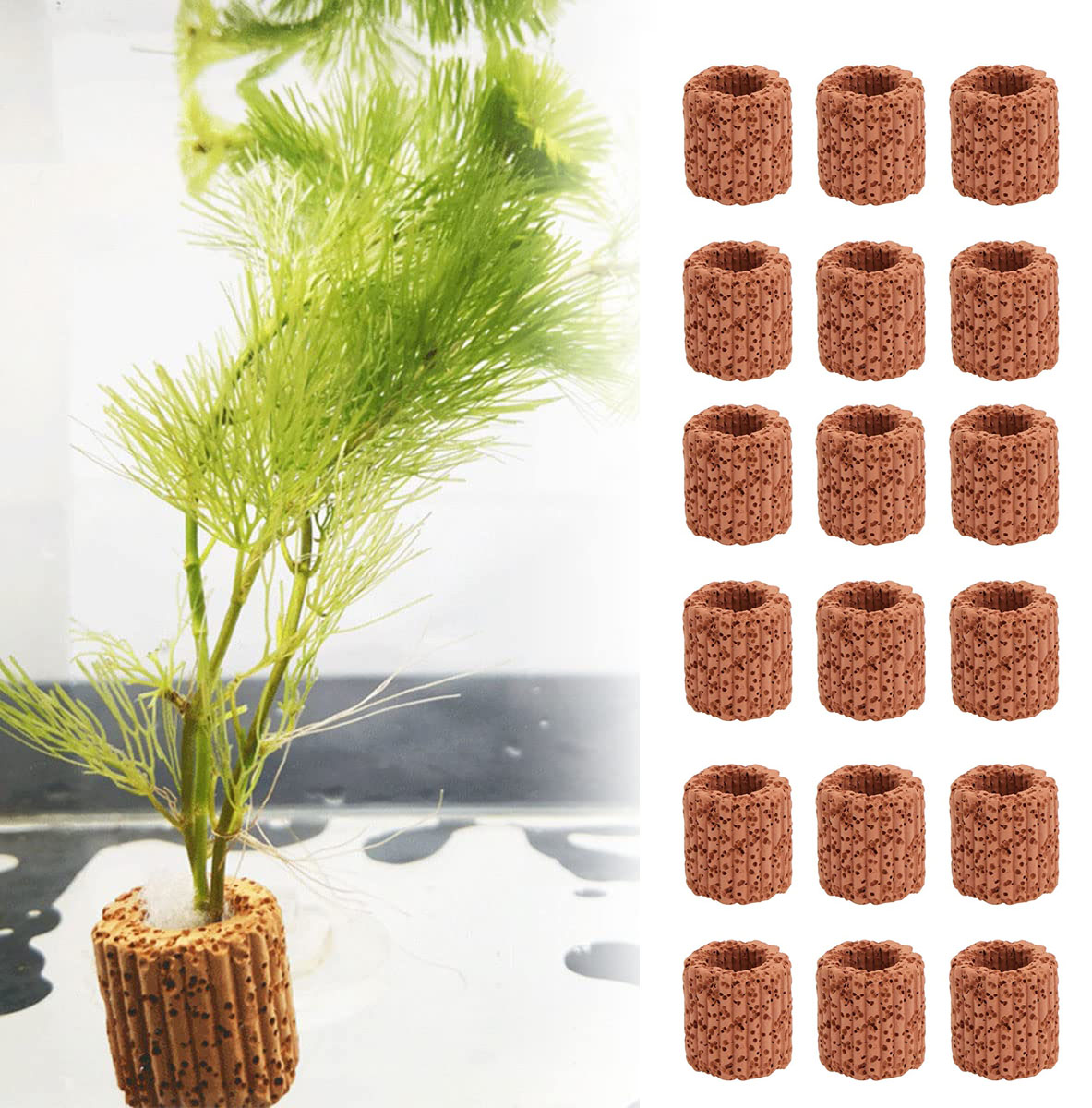 Plant Aquarium Pot - Anillo fijo para plantas acuáticas, Base