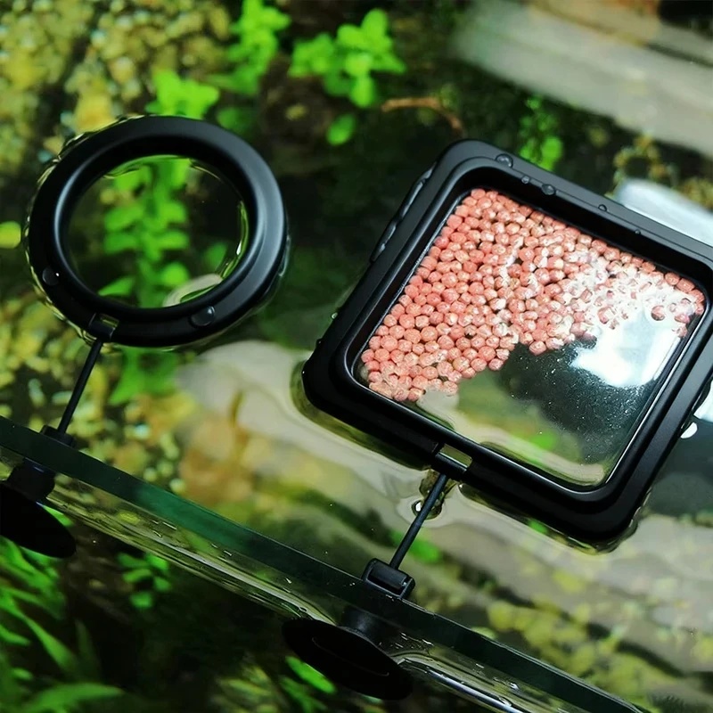 Aquarium Fertilizer - 1/3 piezas Anillo de alimentación para