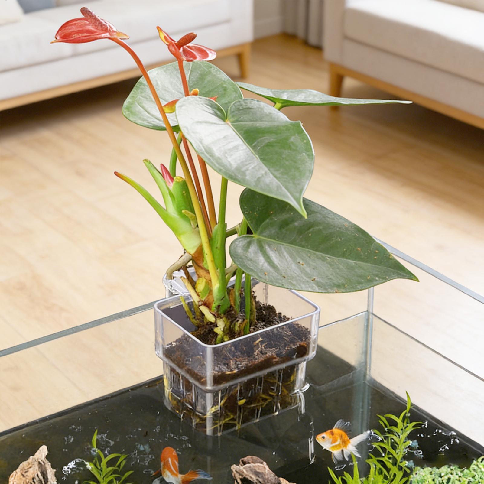 Plant Aquarium Pot - Cesta para Plantas de Acuario, Decoración