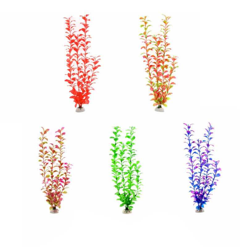 Aquarium Plants Live - Adorno Accesorios para acuario plantas submarinas
