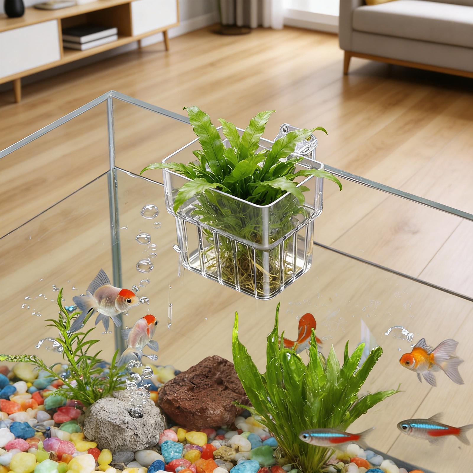 Plant Aquarium Pot - Maceta Transparente Colgante para Plantas de