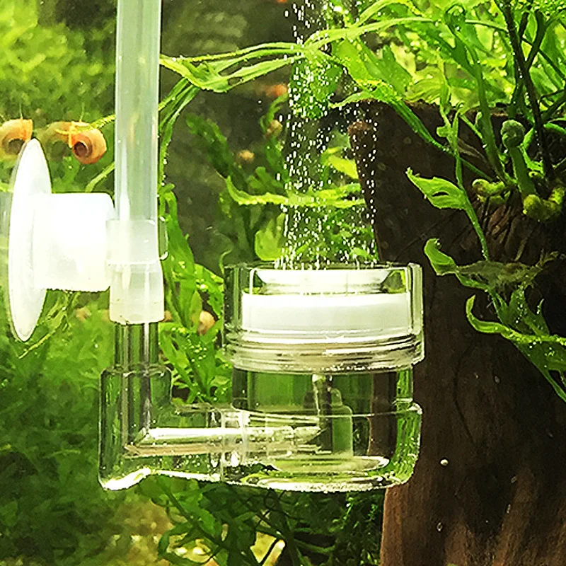Live Plant Aquarium - Acuario 4 en 1 difusor de