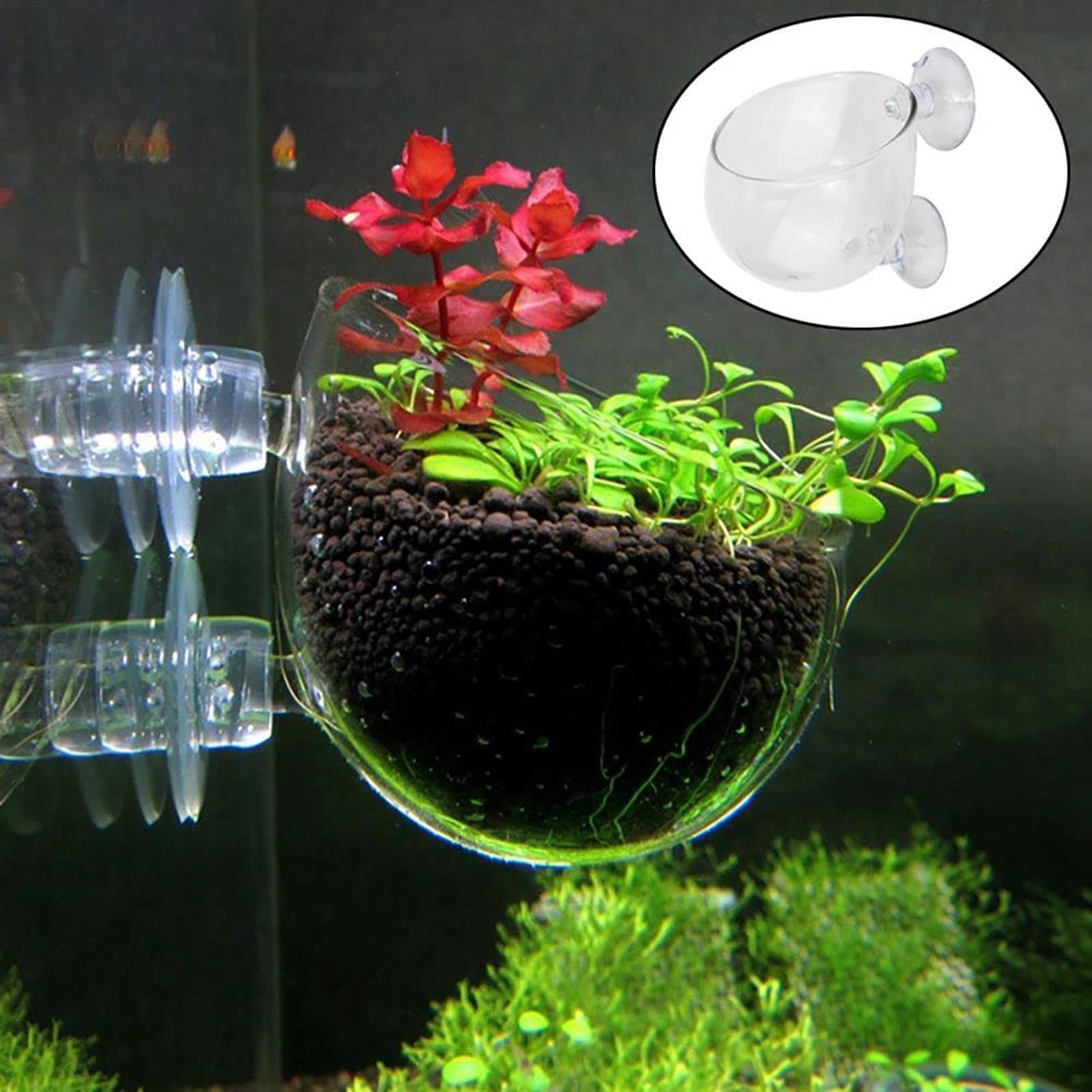 Plant Aquarium Pot - Maceta para plantas acuáticas, macetero de