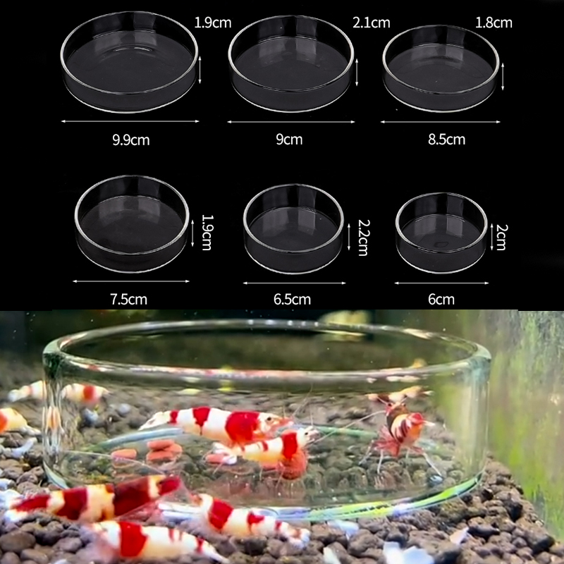 Aquarium Fertilizer - Plato de alimentación de camarones, plato