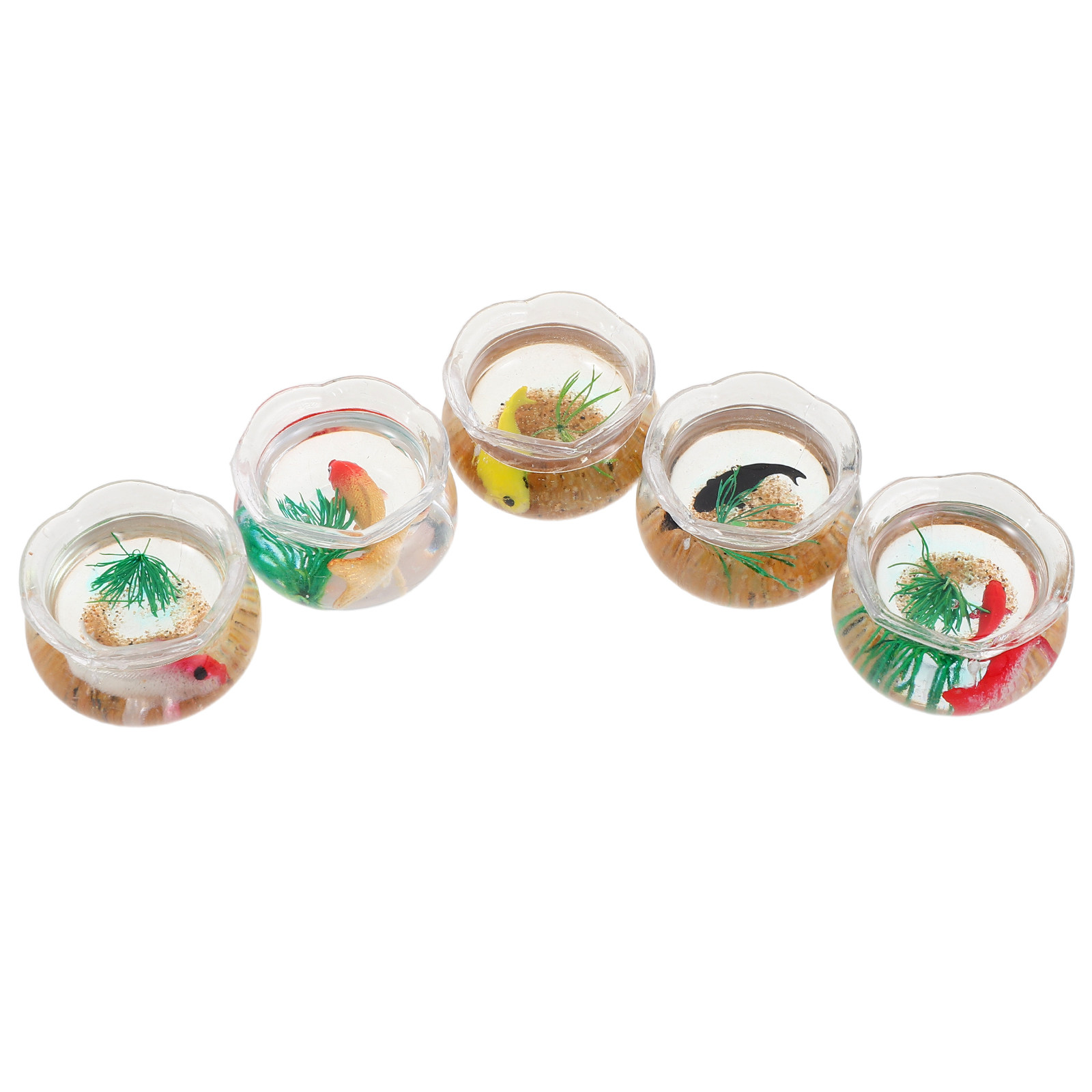 Planted Tank - 5 unidades de mini pecera con