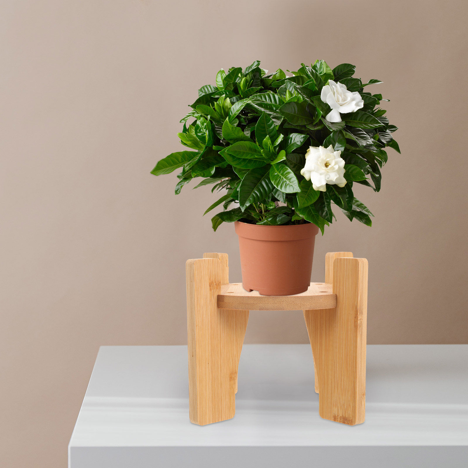 Planted Tank - Soporte de madera para dispensador de