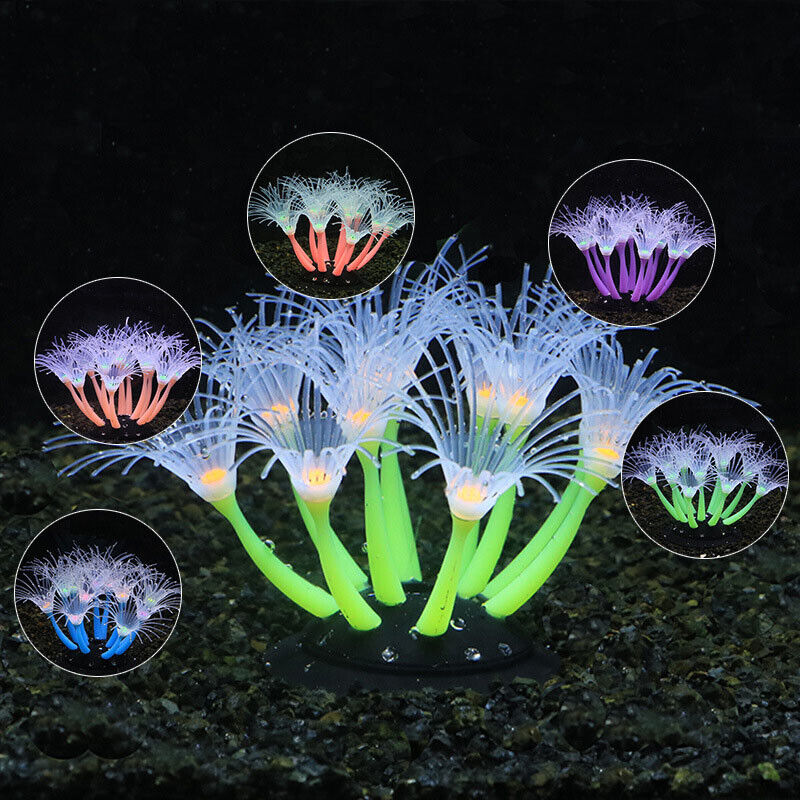 Decoración Subacuática para Ac - Aquarium Plant Substrate reseña y precio