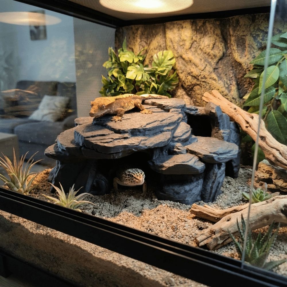 Adornos de Roca para Pecera Im - Aquarium Driftwood reseña y precio