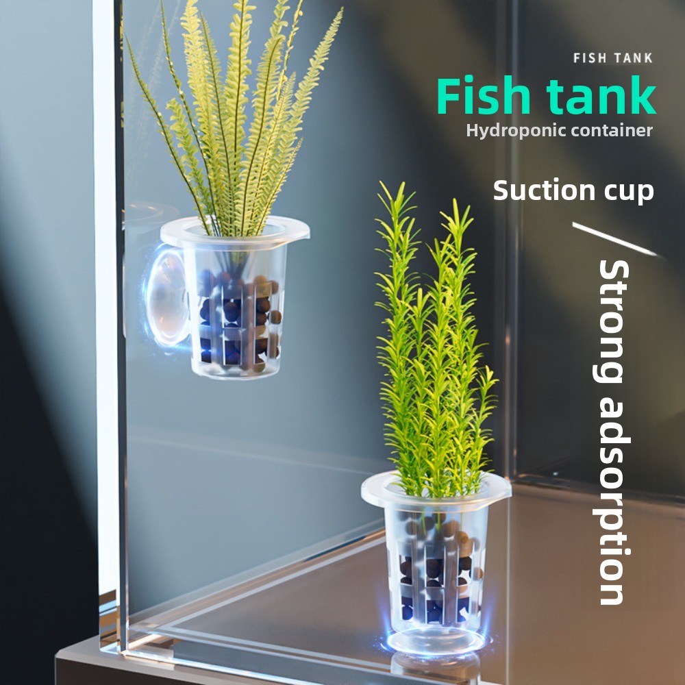 10 Macetas Transparentes para  - Aquarium Plants Live reseña y precio