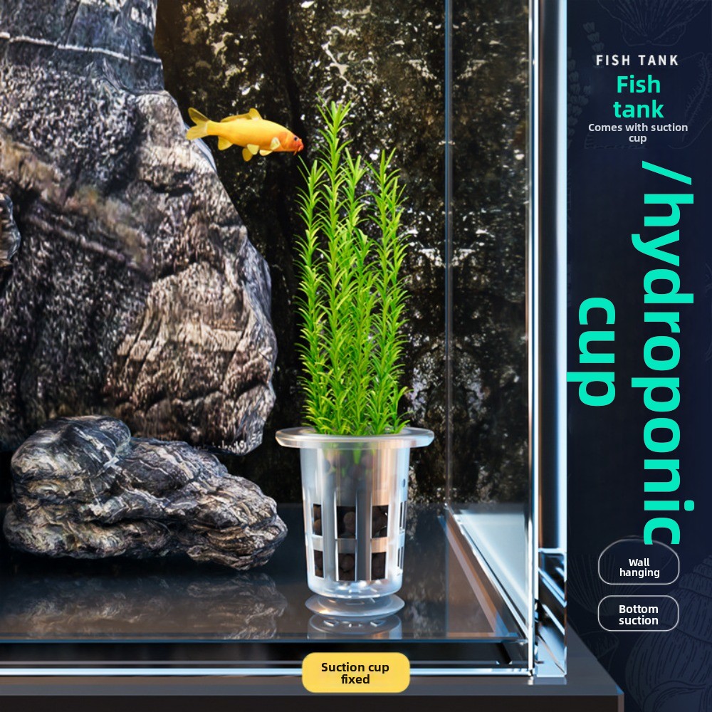 10 Macetas Transparentes para  - Aquarium Plants Live reseña y precio