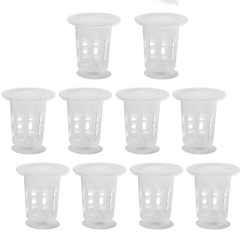 10 Macetas Transparentes para  - Aquarium Plants Live reseña y precio