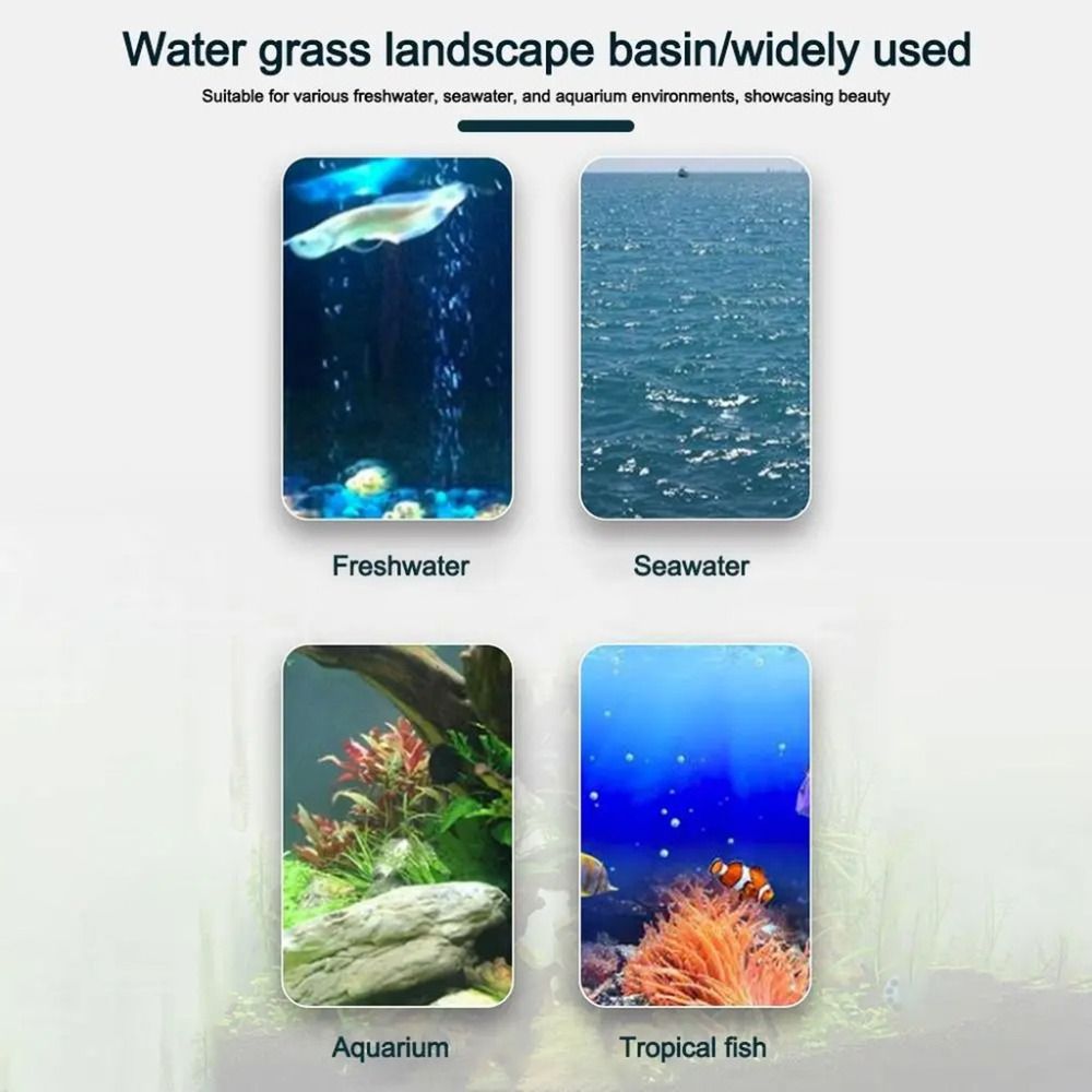 10 Macetas Transparentes para  - Aquarium Plants Live reseña y precio