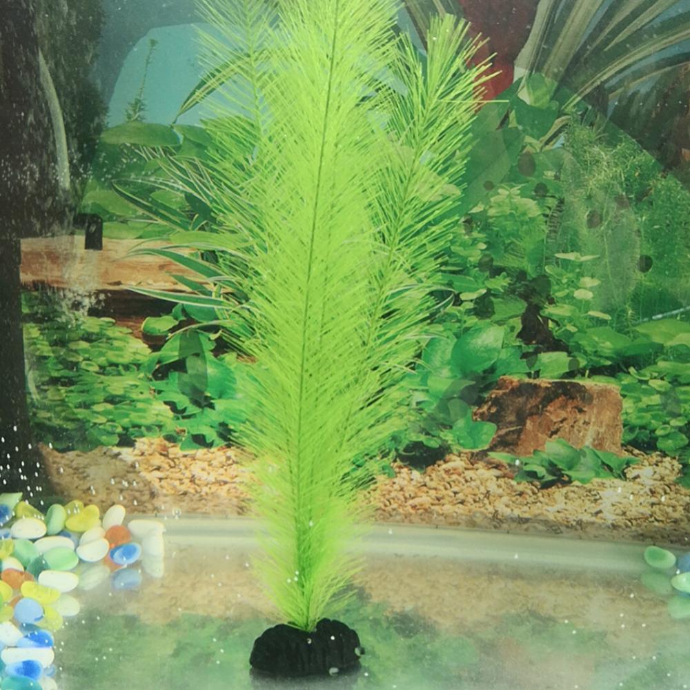 1/3 Uds 28/40cm acuario pecera - Aquarium Plants Live reseña y precio