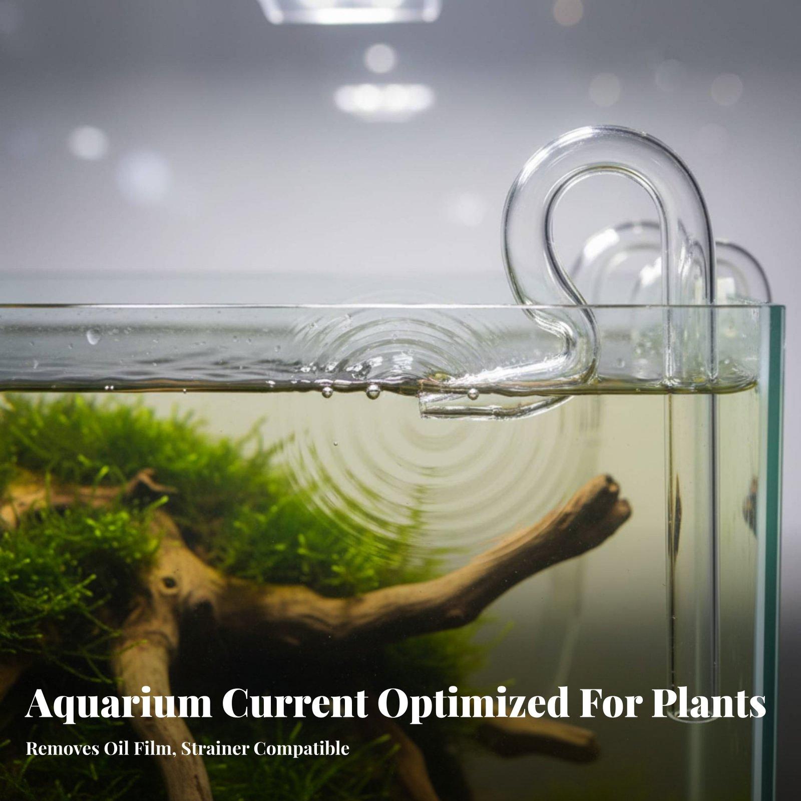 Tubo de vidrio tipo lirio para - Aquarium Planted Tank Filter reseña y precio