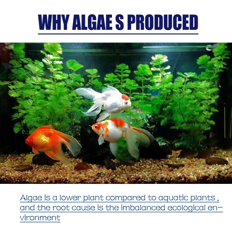 Algaecida de Alta Eficiencia d - Planted Aquarium Algae Control reseña y precio