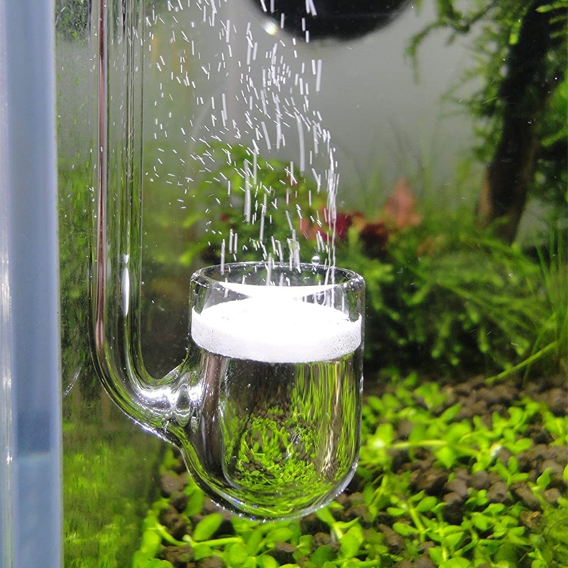 Difusor CO2 vidrio D0AD para a - Aquarium Liquid Carbon reseña y precio