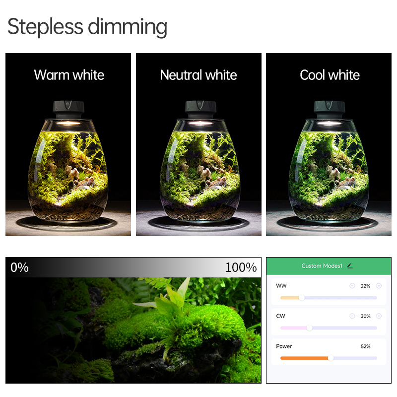 Luz de relleno de plantas con  - Planted Tank reseña y precio