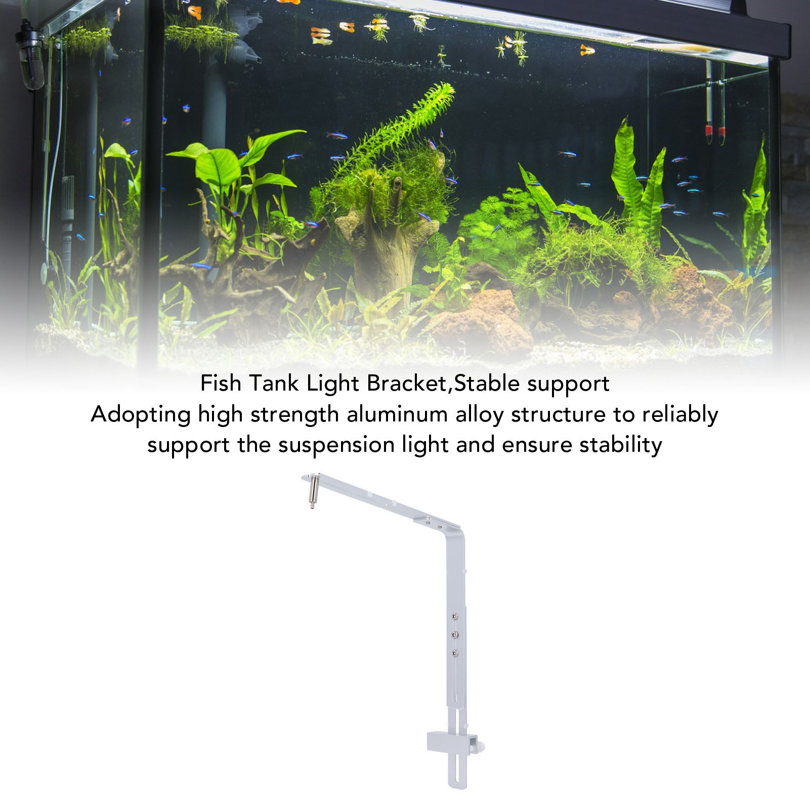 Soporte para Lámpara de Acuari - Aquarium Plant Holder reseña y precio