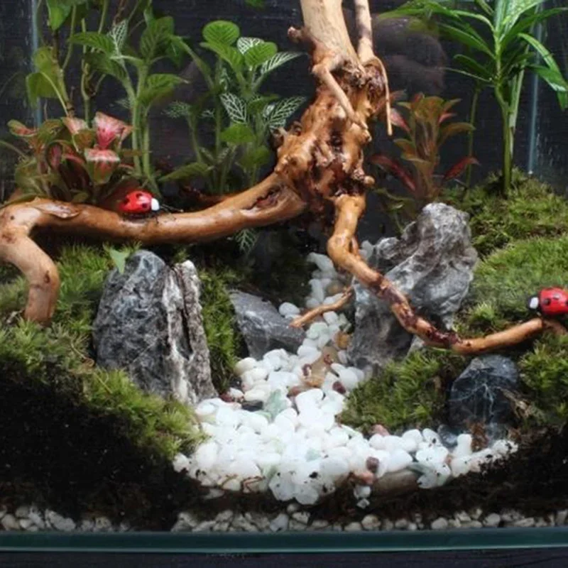 Tronco de árbol Natural de mad - Aquarium Moss reseña y precio