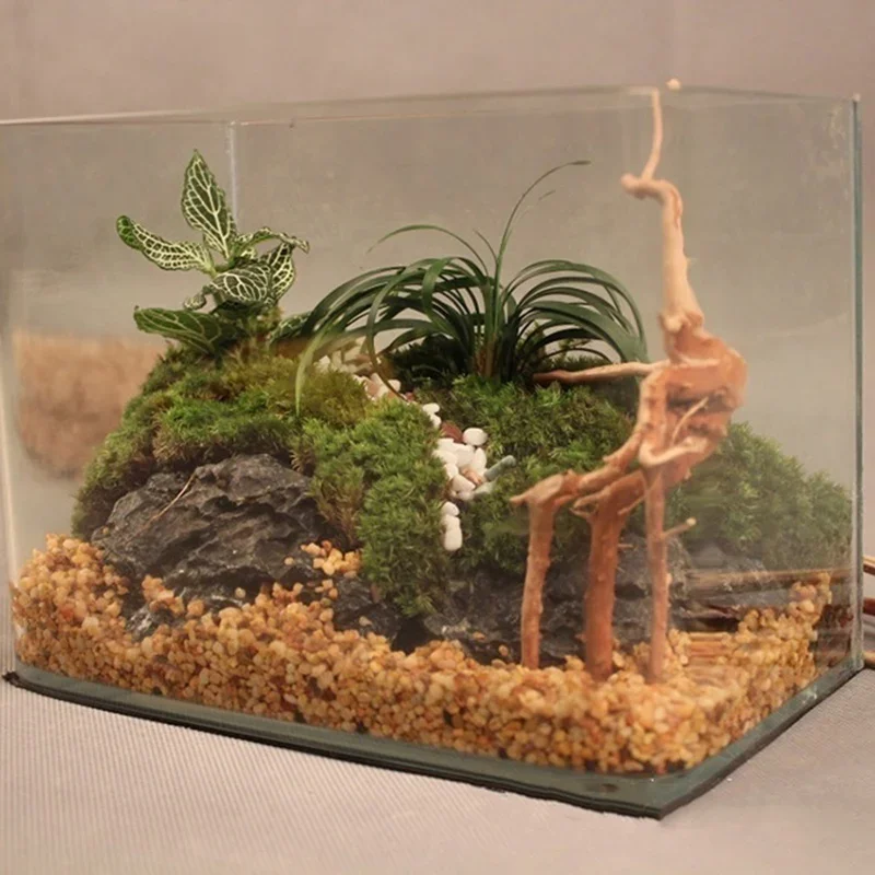 Tronco de árbol Natural de mad - Aquarium Moss reseña y precio