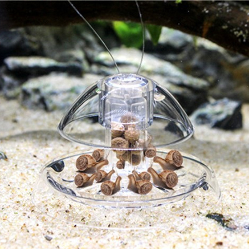 Limpiador de plástico para pec - Planted Aquarium Cleaning reseña y precio