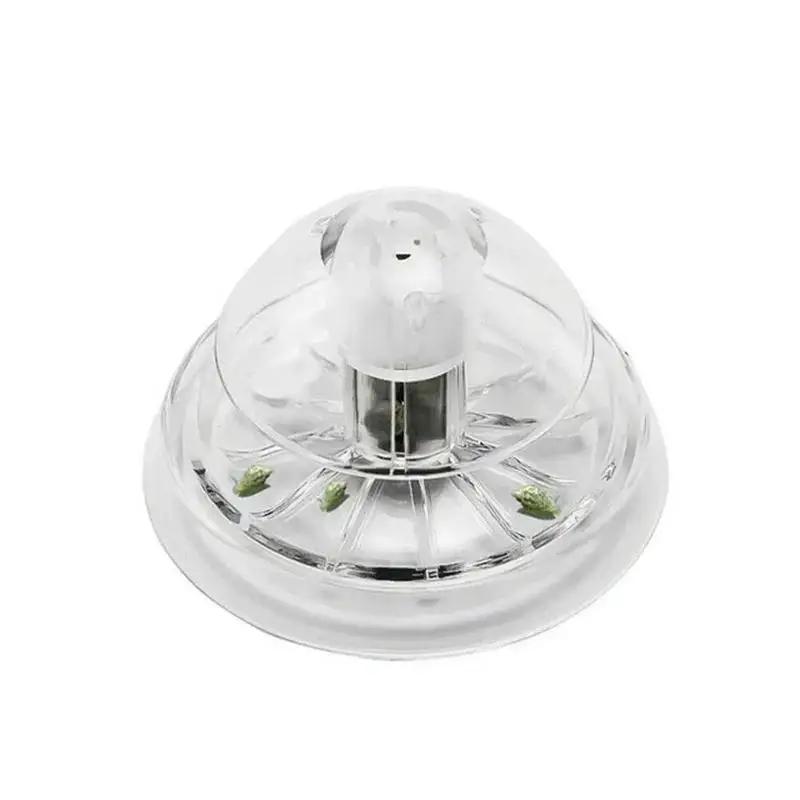 Nueva Trampa para Caracoles de - Planted Aquarium Cleaning reseña y precio
