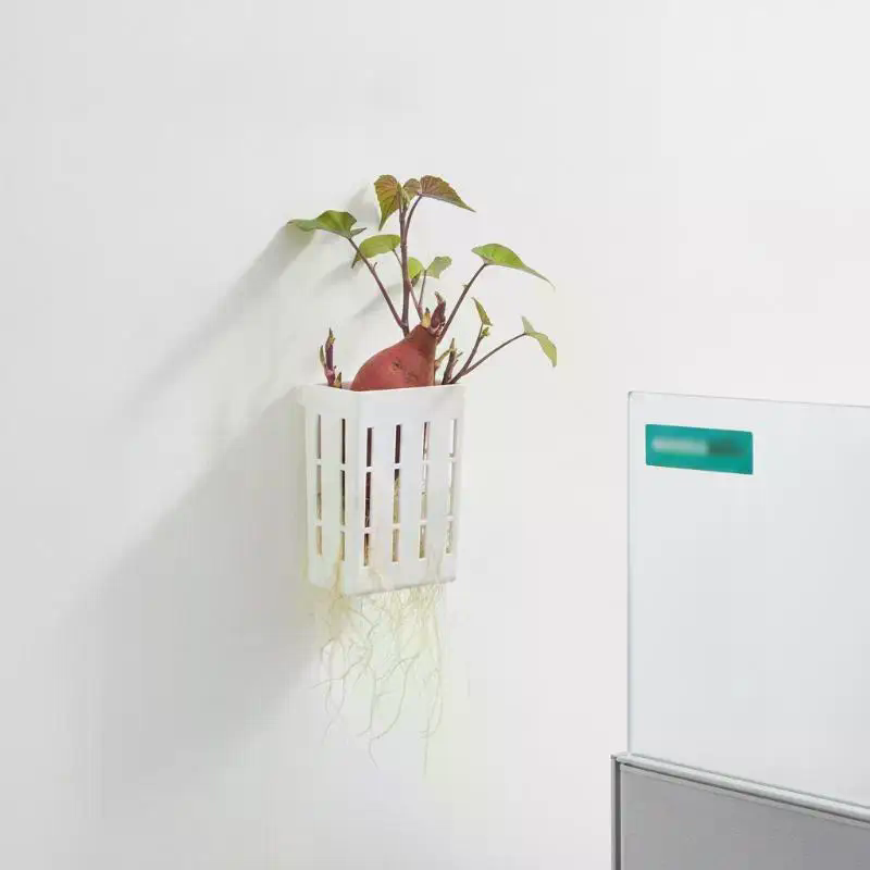 1 unidad de cesta de soporte h - Planted Tank reseña y precio