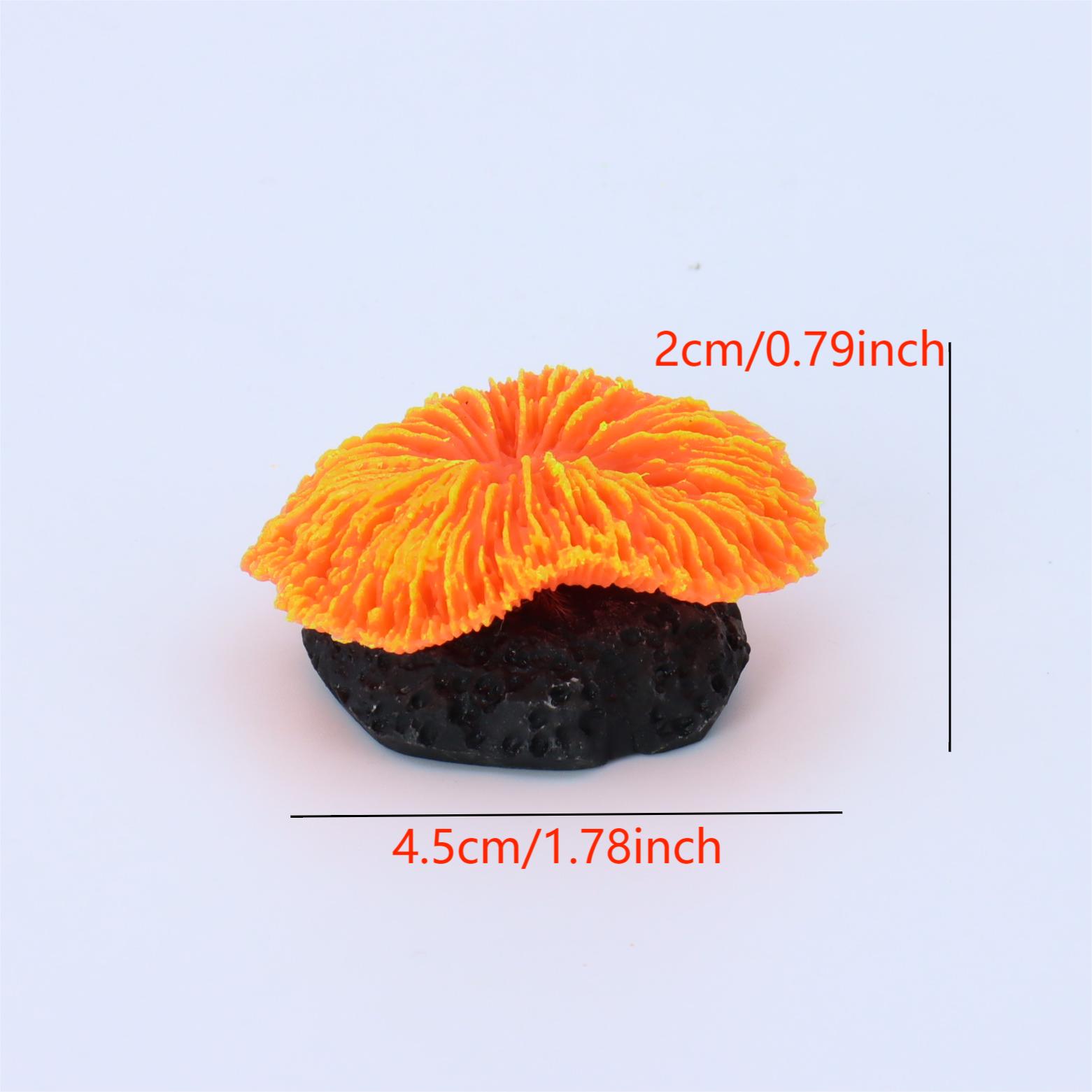1 pieza de decoración para acu - Aquarium Plants Live reseña y precio