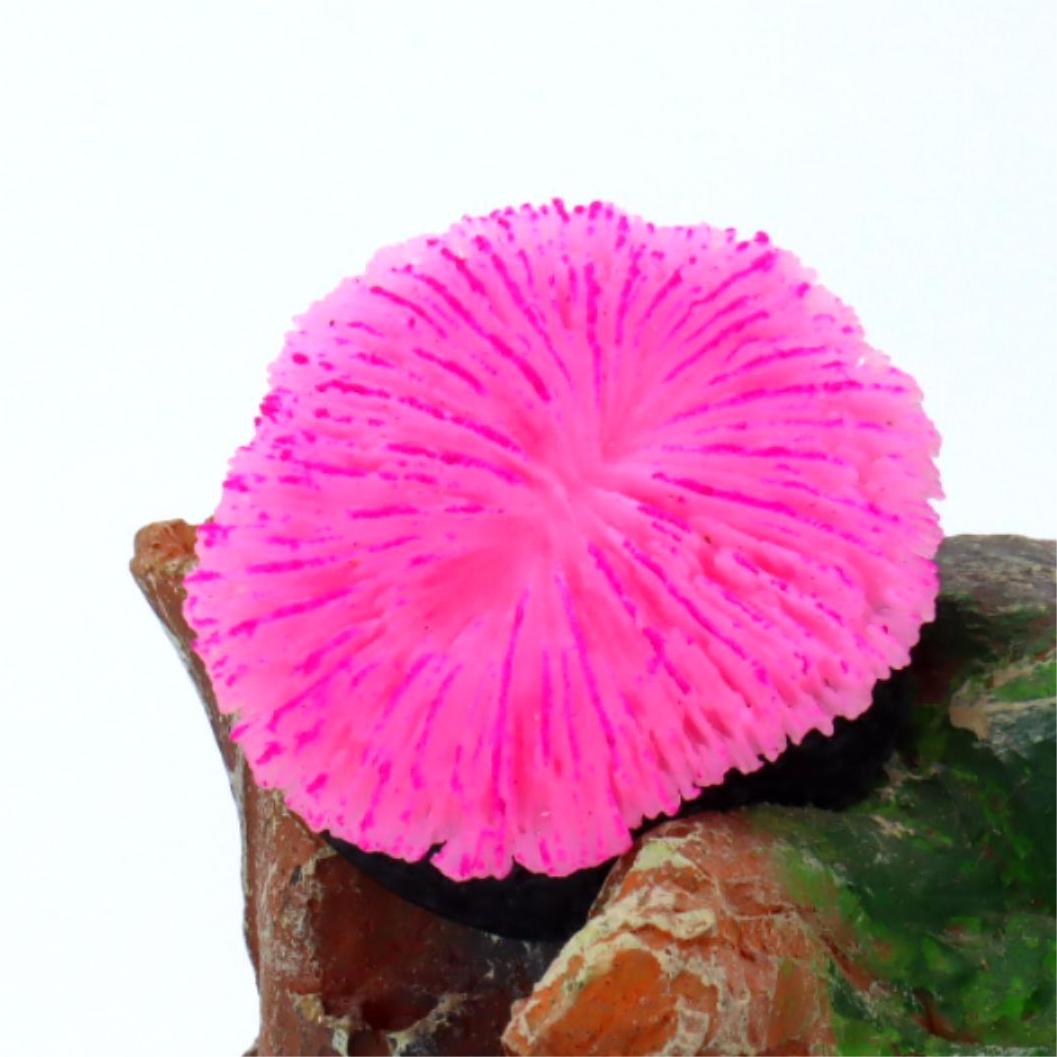 1 pieza de decoración para acu - Aquarium Plants Live reseña y precio