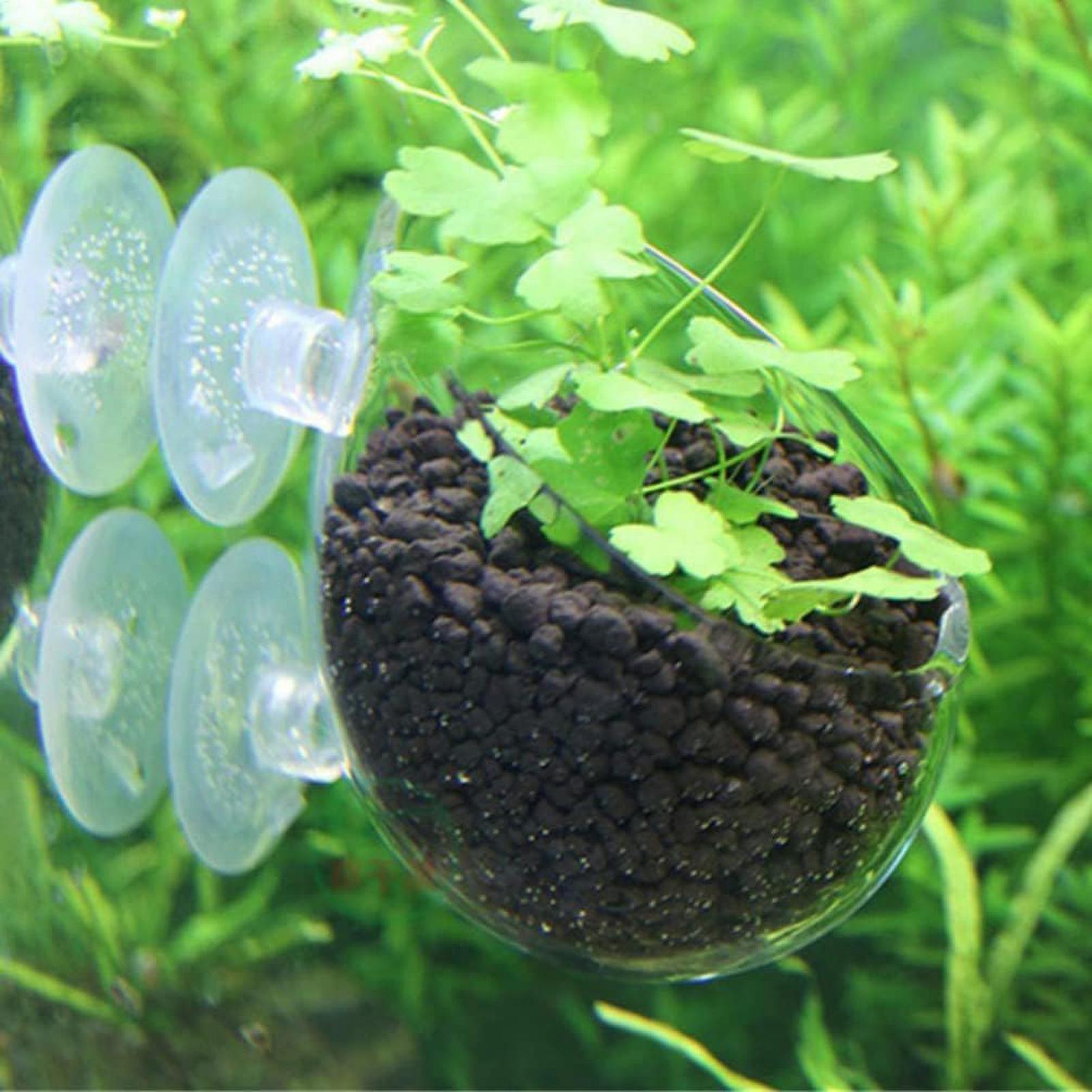 Soporte para Plantas de Acuari - Aquarium Moss reseña y precio