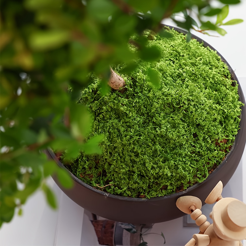1 paquete de musgo artificial  - Aquarium Moss reseña y precio