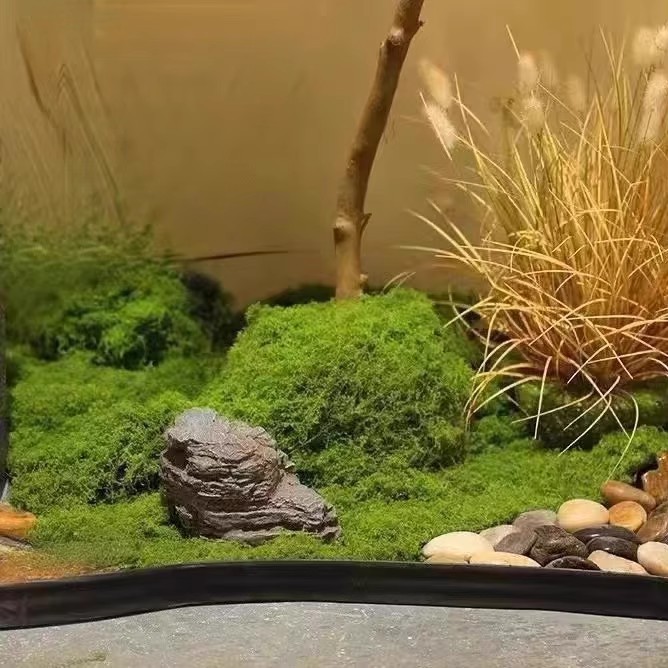 Musgo Eterno de 200g para Manu - Aquarium Moss reseña y precio