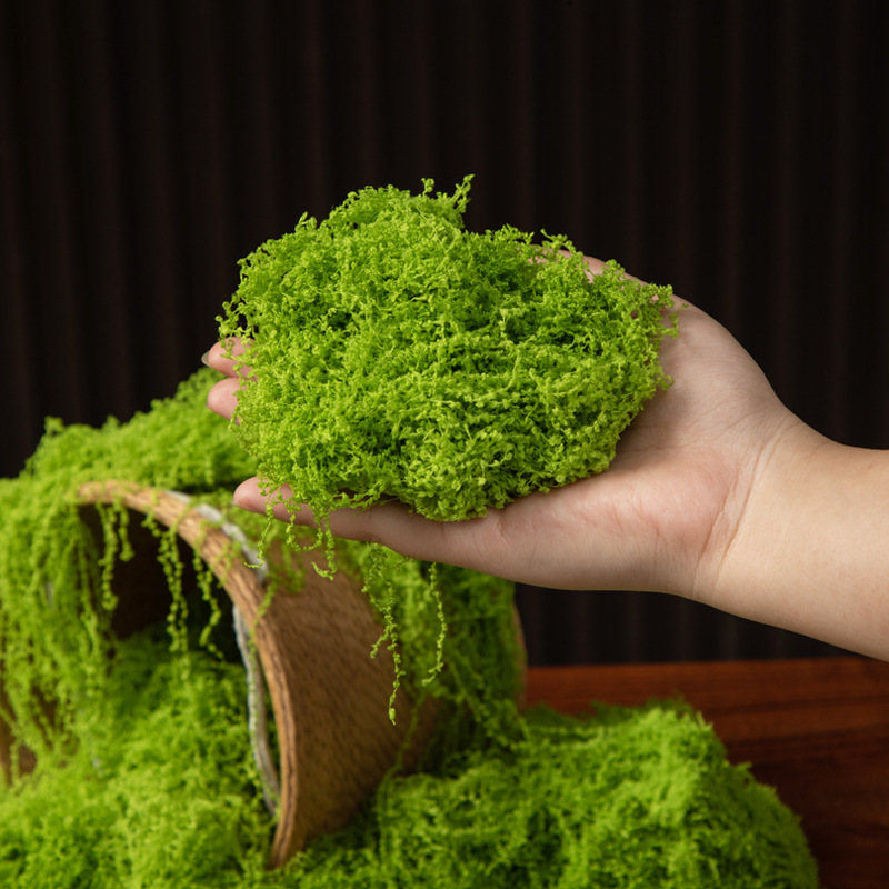 Musgo Eterno de 200g para Manu - Aquarium Moss reseña y precio