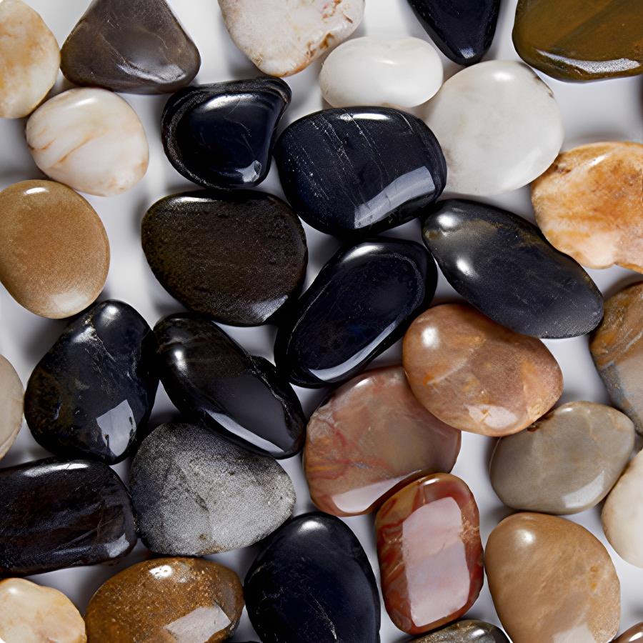 Piedras de Río Lisas de 300-70 - Plant Aquarium Pot reseña y precio