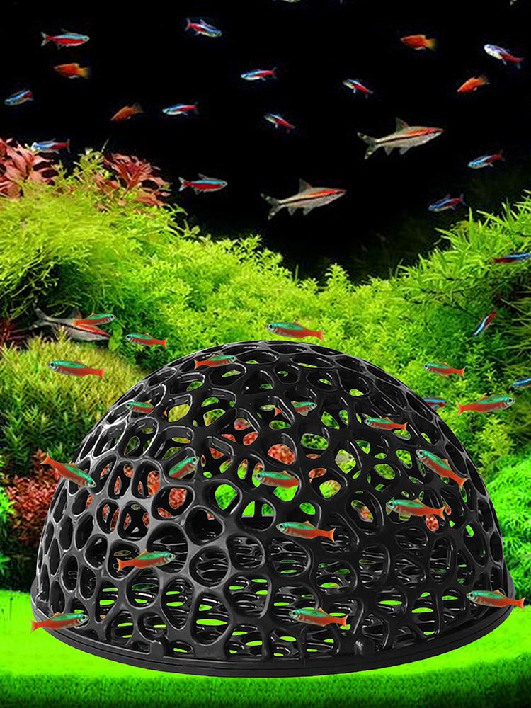 Refugio de cueva oculta para a - Aquarium Plants Live reseña y precio