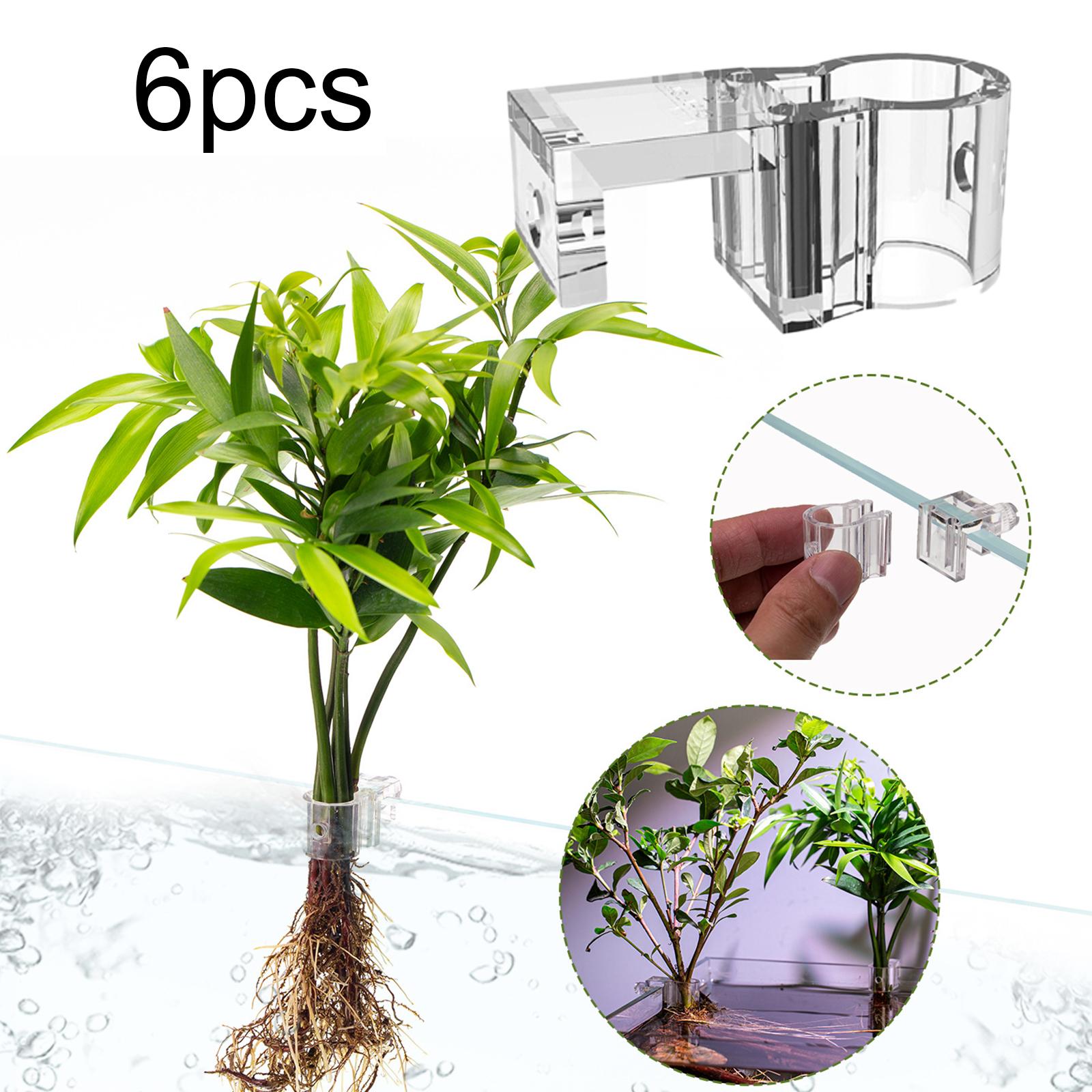 6 piezas de soporte para plant - Aquarium Fertilizer reseña y precio