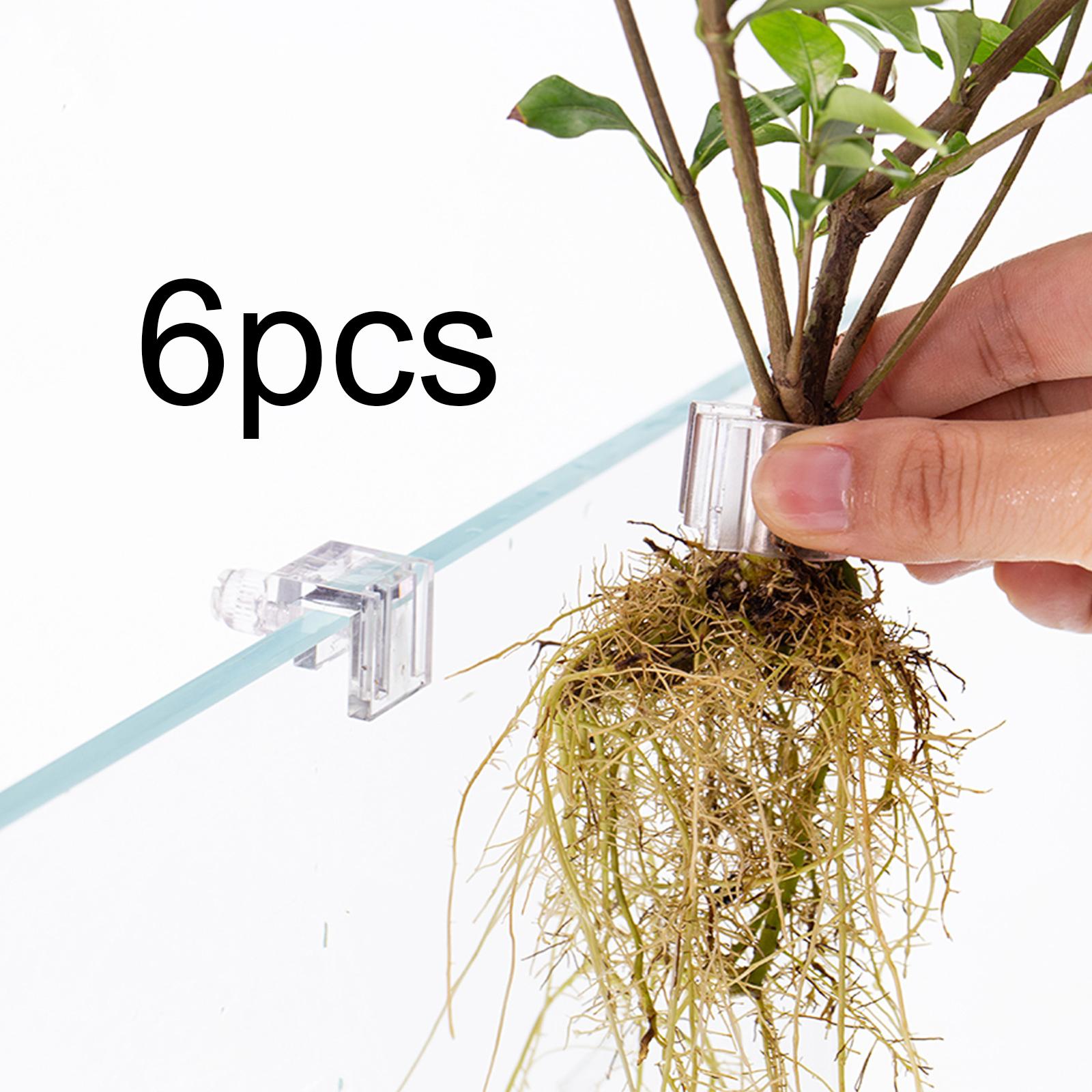 6 piezas de soporte para plant - Aquarium Fertilizer reseña y precio