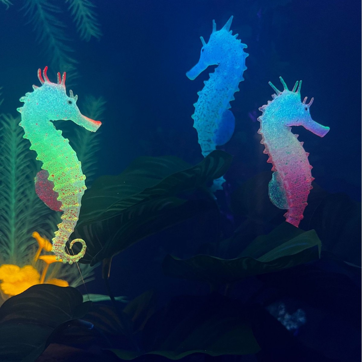 Decoración Luminosa Simulada d - Aquarium Plant Substrate reseña y precio