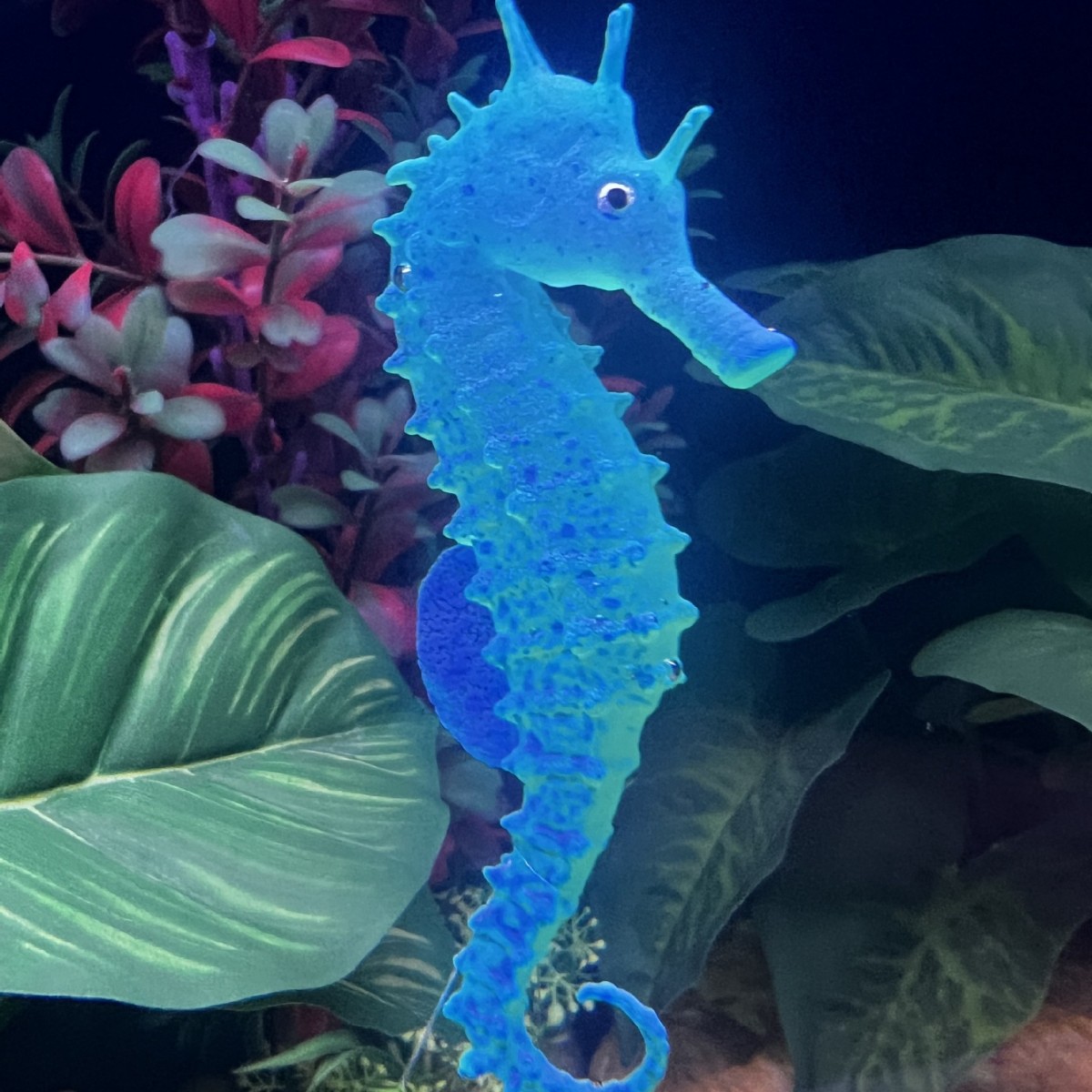 Decoración Luminosa Simulada d - Aquarium Plant Substrate reseña y precio