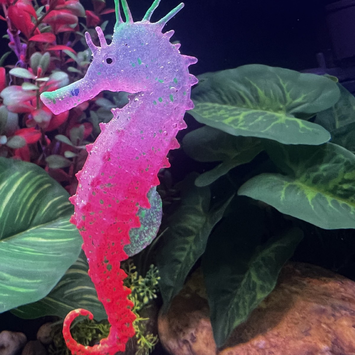 Decoración Luminosa Simulada d - Aquarium Plant Substrate reseña y precio
