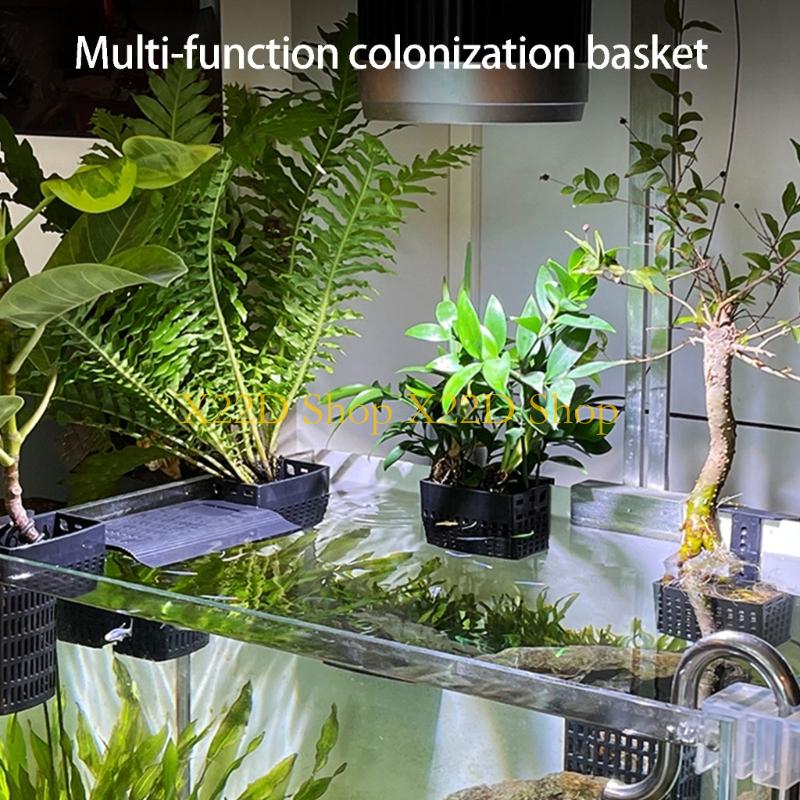 X22D Contenedor montado en par - Aquarium Plant Holder reseña y precio
