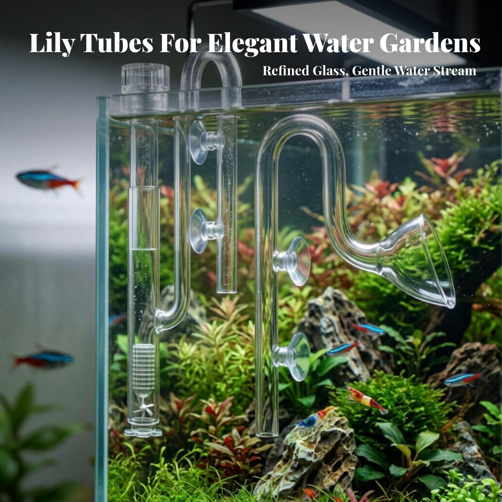 Conjunto de tubos Lily transpa - Aquarium Planted Tank Filter reseña y precio