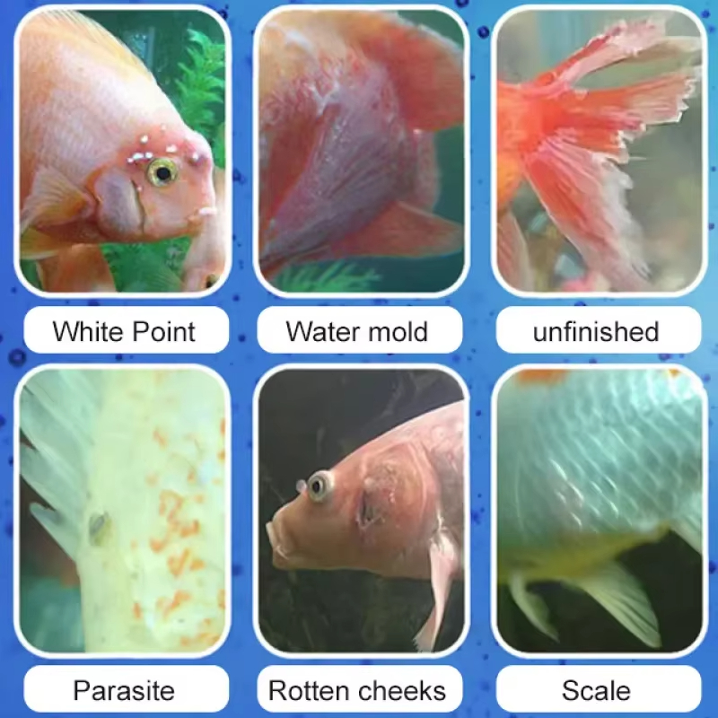Tratamiento de enfermedades de - Aquarium Fertilizer reseña y precio