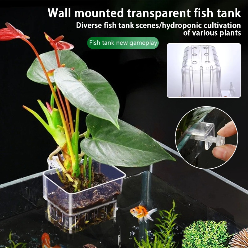 Macetas Colgantes para Acuario - Plant Aquarium Pot reseña y precio