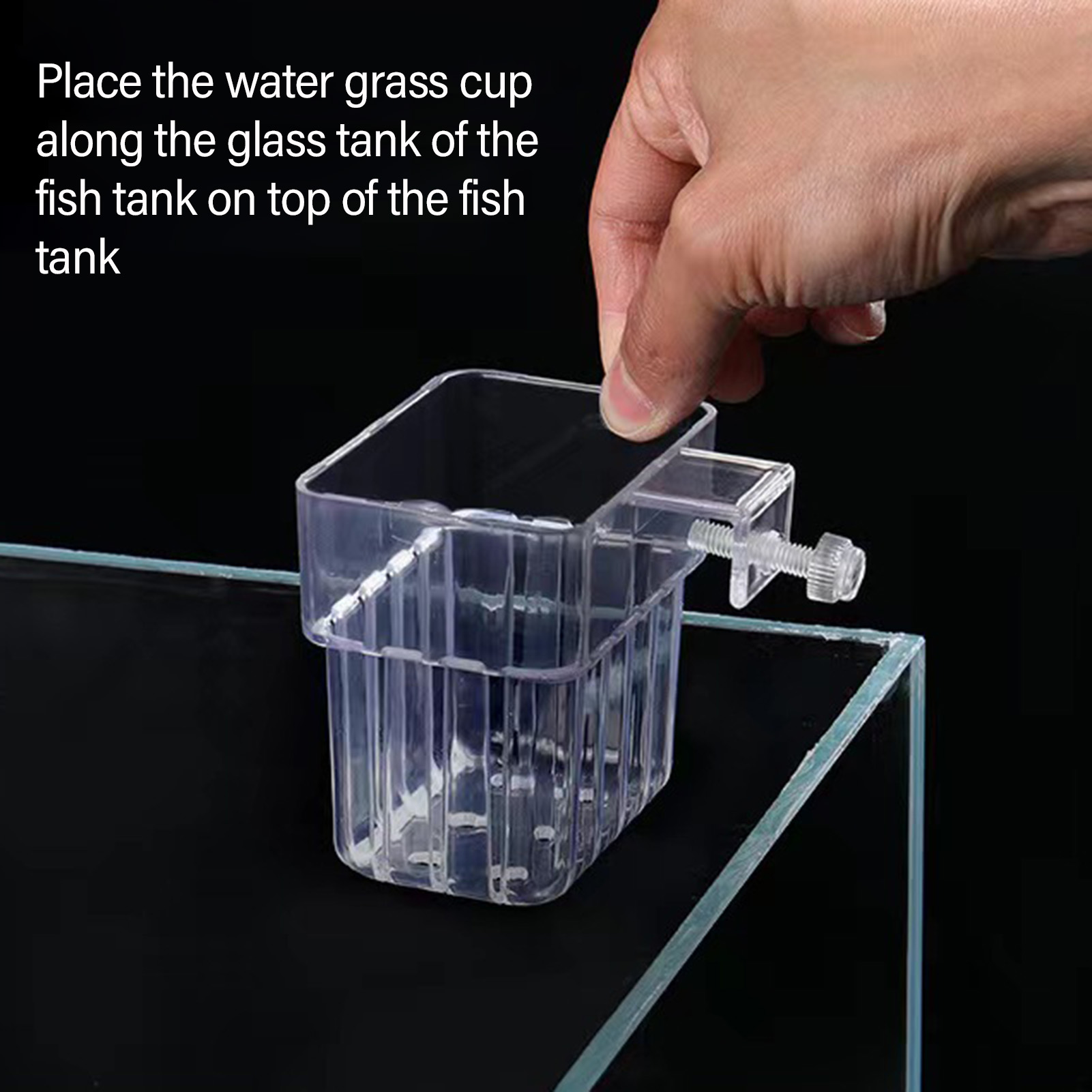 Soporte transparente de acríli - Aquarium Plant Holder reseña y precio