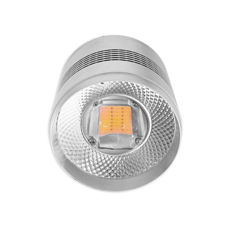 Lámpara LED de 70W para Acuari - Planted Aquarium Algae Control reseña y precio